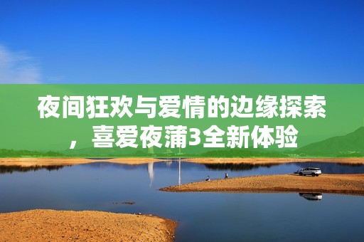 夜间狂欢与爱情的边缘探索，喜爱夜蒲3全新体验