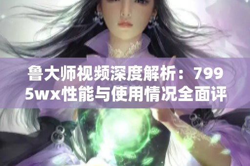 鲁大师视频深度解析：7995wx性能与使用情况全面评测