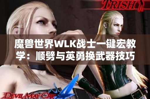 魔兽世界WLK战士一键宏教学：顺劈与英勇换武器技巧分享