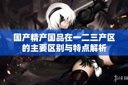 国产精产国品在一二三产区的主要区别与特点解析