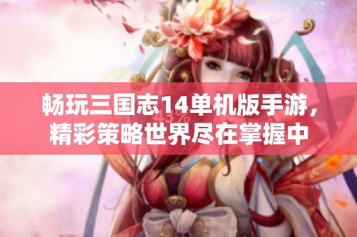 畅玩三国志14单机版手游，精彩策略世界尽在掌握中