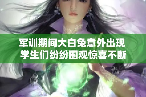 军训期间大白兔意外出现 学生们纷纷围观惊喜不断